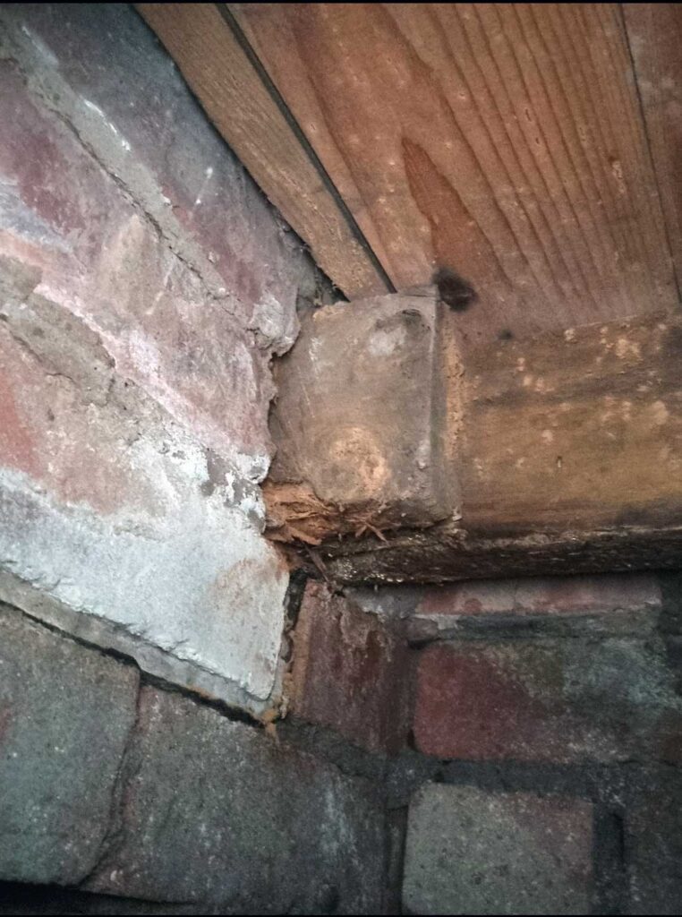 Woodworm discovered in Manchester