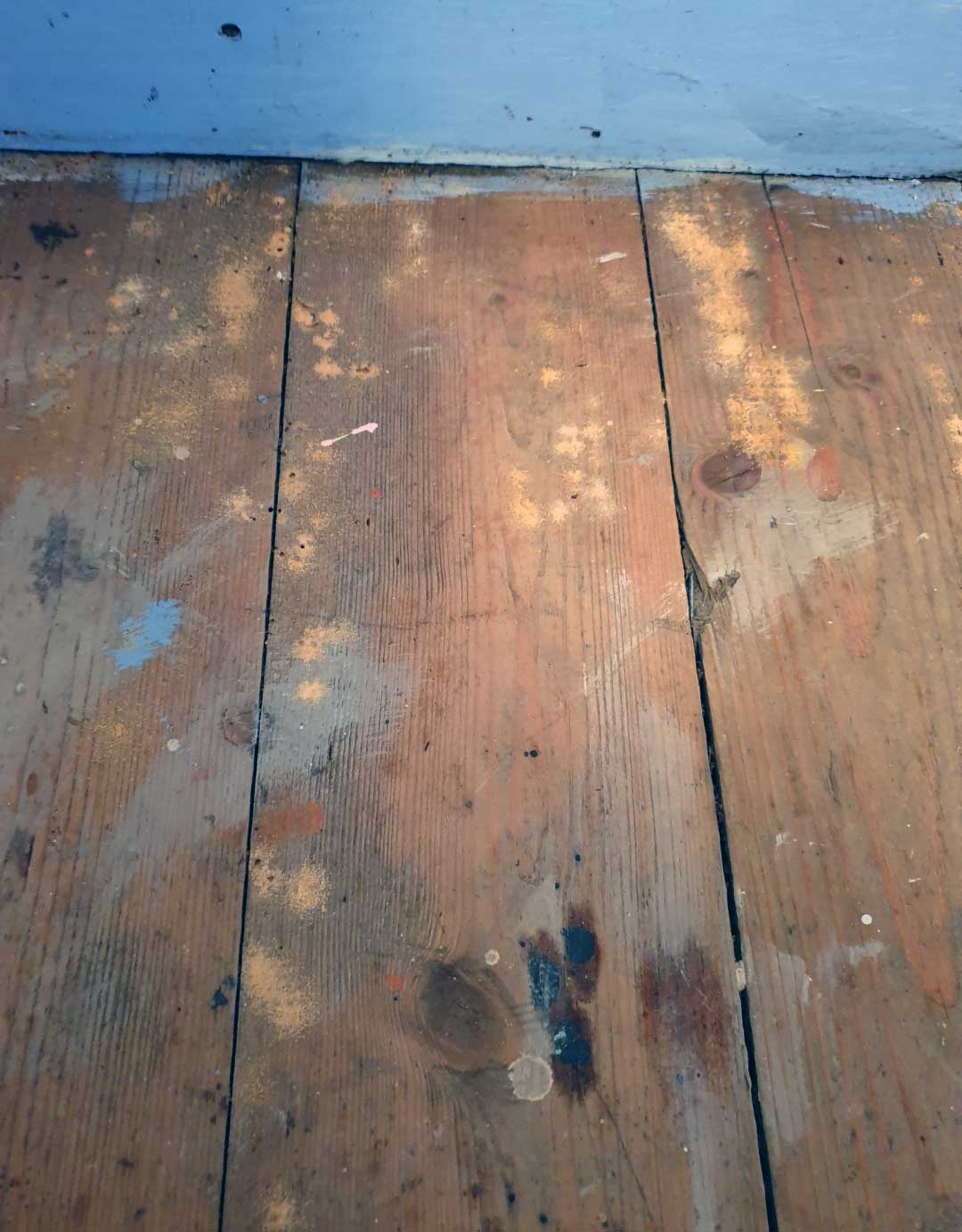 damp-and-timeber-report-2 Woodworm discovered in Manchester