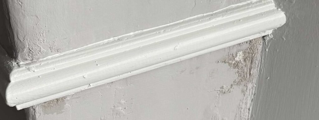 The Value of a Damp and Timber Report in Victorian Homes