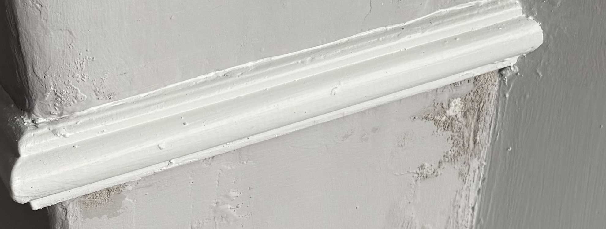 damp-in-victorian-mid-terrace The Value of a Damp and Timber Report in Victorian Homes