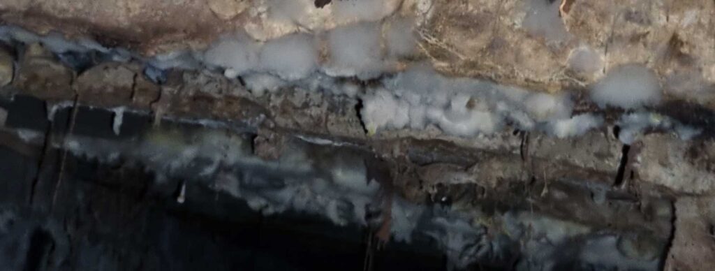The Hidden Risk of Dry Rot